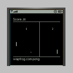 PONG screen capture